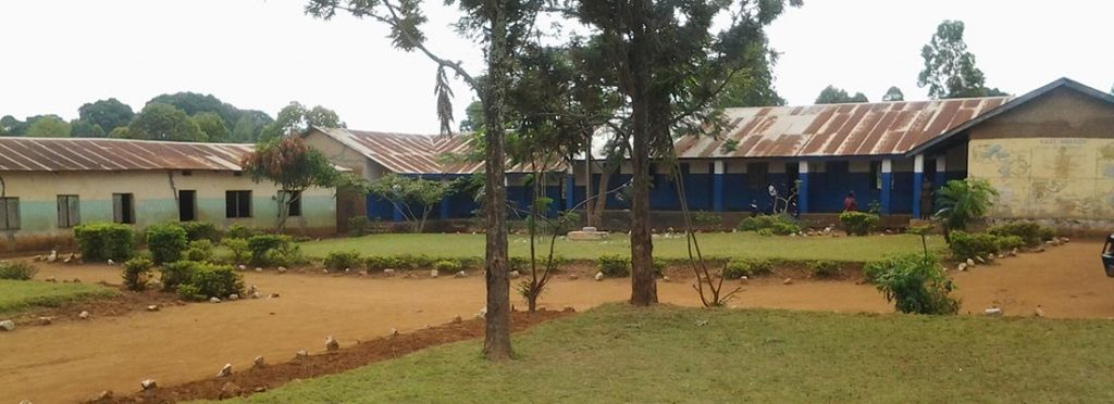 primary school from Kagera region.